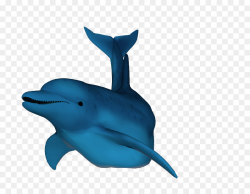 Winter Cartoon clipart - Dolphin, transparent clip art