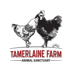 Donate — Tamerlaine Farm Animal Sanctuary