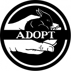 adopt-icon_orig.png