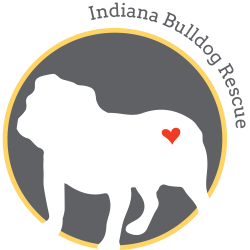 Indiana Bulldog Rescue – Foster | Adopt | Sponsor | Donate
