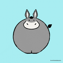 Donkey GIFs - Get the best GIF on GIPHY