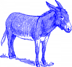 Blue Donkey Clip Art at Clker.com - vector clip art online, royalty ...