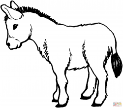 Donkeys coloring pages | Free Coloring Pages | animal ...