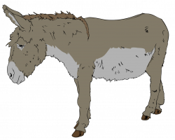 Farm Animals clipart donkey - Pencil and in color farm animals ...
