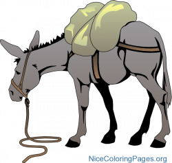 Donkey clipart png | Nice Coloring Pages for Kids