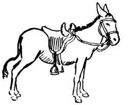 Donkey drawing clipart - Clipartix