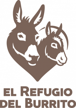 Adopt a donkey | El Refugio del Burrito