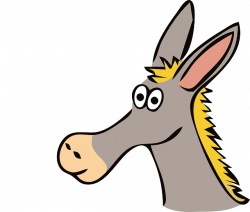 Donkeys For Kids | Donkey Facts | Cool Kid Facts