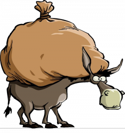 Mule Cartoon Donkey Clip art - donkey 800*854 transprent Png Free ...