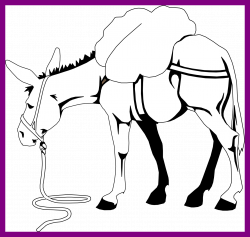 Marvelous Donkey Outline Clip Art Pic For Coloring Page Trend And ...