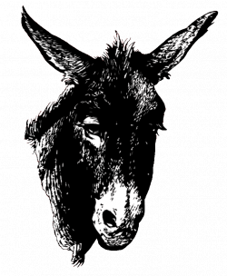 Donkey Clip Art PG 1