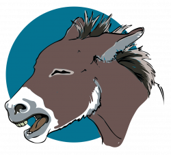 File:Donkey closeup 03.svg - Wikipedia
