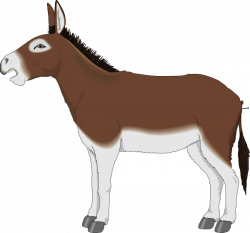 Brown And White Donkey Side View Clip Art at Clker.com - vector clip ...
