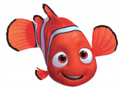 Nemo Marlin Pixar Character Film - dory 835*634 transprent Png Free ...