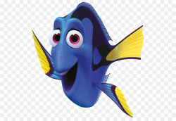 Dory Png & Free Dory.png Transparent Images #30484 - PNGio
