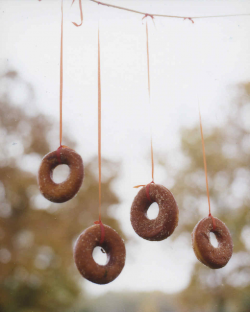 Doughnuts on a String | Martha Stewart