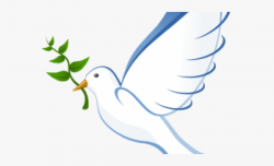 Peace Dove Clipart - Dove The Bird Animation #333878 - Free ...