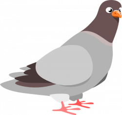 Cartoon pigeon | animation | Pinterest | Cartoon, Rick riordan and ...
