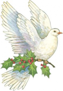 Free Christmas Dove Cliparts, Download Free Clip Art, Free ...