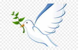 White Dove Clipart Olive Branch - International Day Of Peace ...