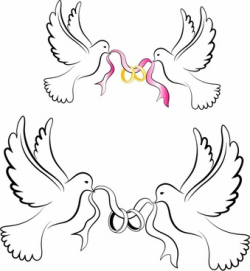 Dove free vector download (112 Free vector) for commercial ...