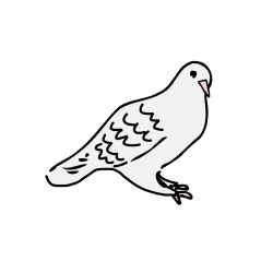 Pigeon Clip Art - Cliparts.co