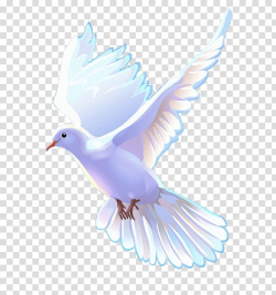 White dove art, Bible Christian Church Christianity ...