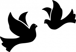 Bird Birds Dove Doves Flight Fly Flying Peace Wing Svg Png Icon Free ...