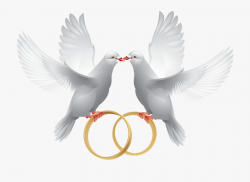Png Clip Art Wedding Card And - Doves With Wedding Rings ...