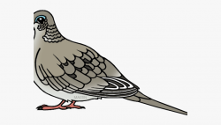 Mourning Dove Clipart Peace - Mourning Dove Clip Art #737508 ...