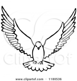 Doves Flying Drawing Dove Flying Royalty Free | Pigeon Kings ...