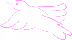 Pink Dove Outline Clip Art at Clker.com - vector clip art ...