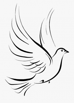 Columbidae Funeral Symbols As Drawing Doves Clipart - Dove ...