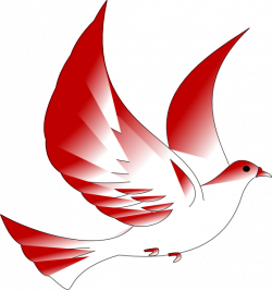 18awesome Dove Images Clip Art - Clip arts & coloring pages