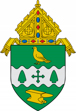 File:Roman Catholic Diocese of Youngstown.svg - Wikimedia Commons