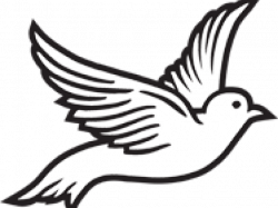 Dove Clipart Roman Catholic - Pigeons And Doves - Png ...