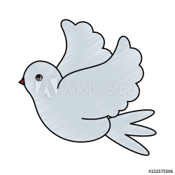 color pencil image side view dove bird flying vector ...