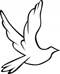 christian symbol black line art for kids | Flying Dove clip ...