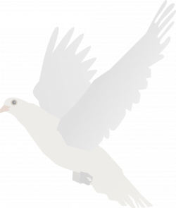 Clipart - Dove