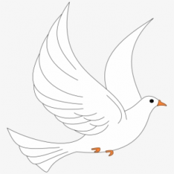 Free Dove Clipart Cliparts, Silhouettes, Cartoons Free ...