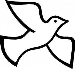 Holy Trinity Spirit Dove - Vector Image