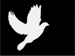 Dove Clip art, Icon and SVG - SVG Clipart