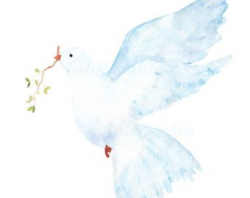 Dove watercolor | Etsy