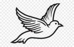 Dove Clipart Roman Catholic - Pigeons And Doves - Png ...