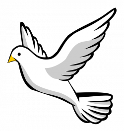 28+ Collection of Doves Clipart Png | High quality, free cliparts ...