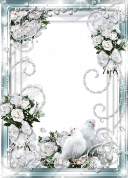 Beautiful Delicate Wedding Transparent Photo Frame with White Roses ...