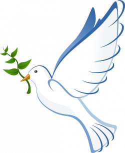Peace Dove Clipart burung - Free Clipart on Dumielauxepices.net