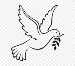 Doves Clipart Head - Colombe De La Paix Dessin - Png ...