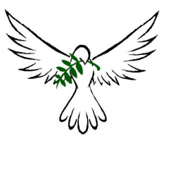 White Dove Drawing | Free download best White Dove Drawing ...