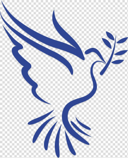 Columbidae Doves as symbols Holy Spirit , symbol transparent ...